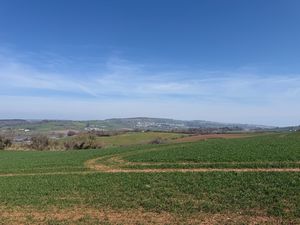 Photo 17- click for photo gallery